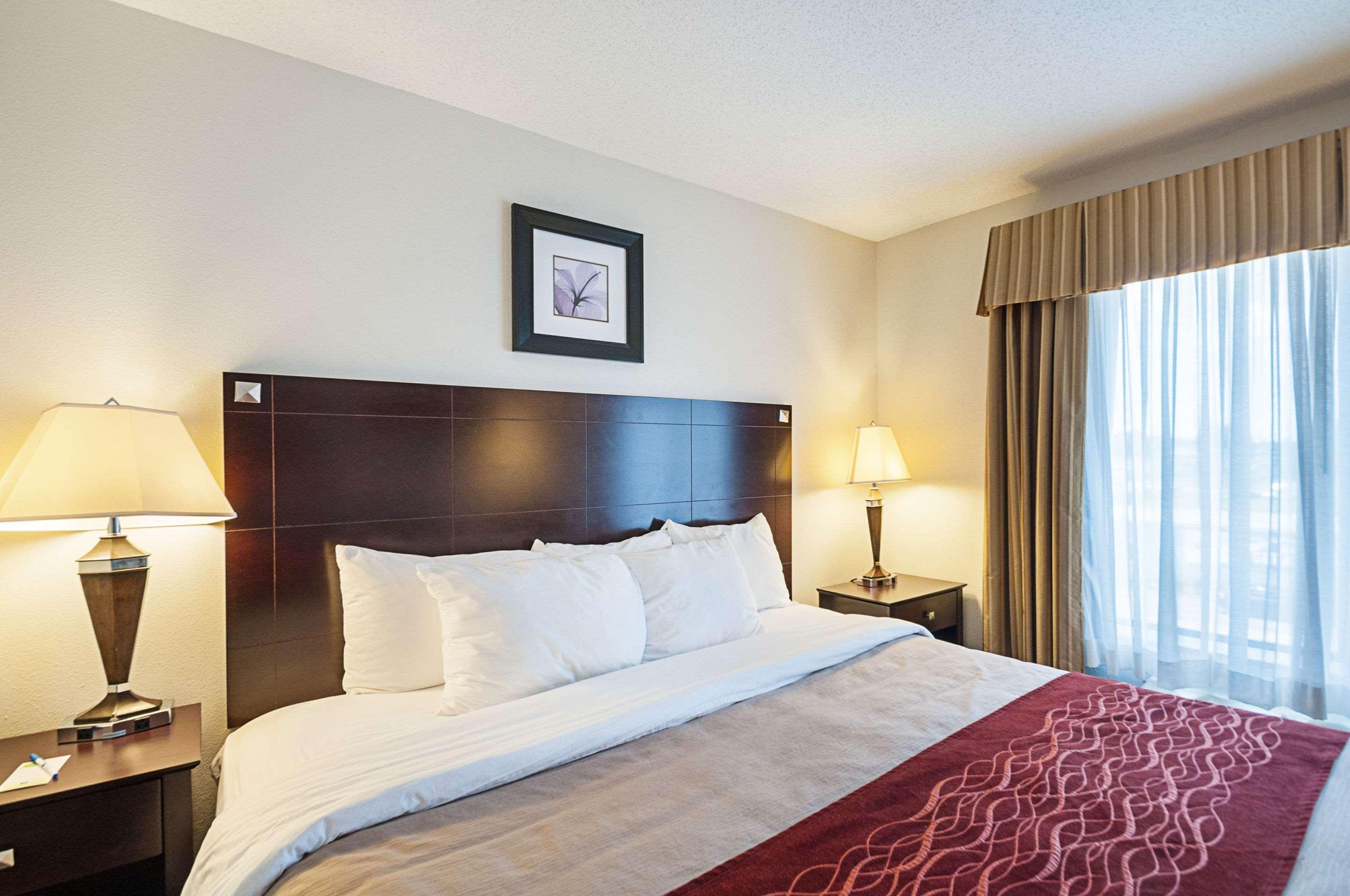 Comfort & Hotel Cambridge