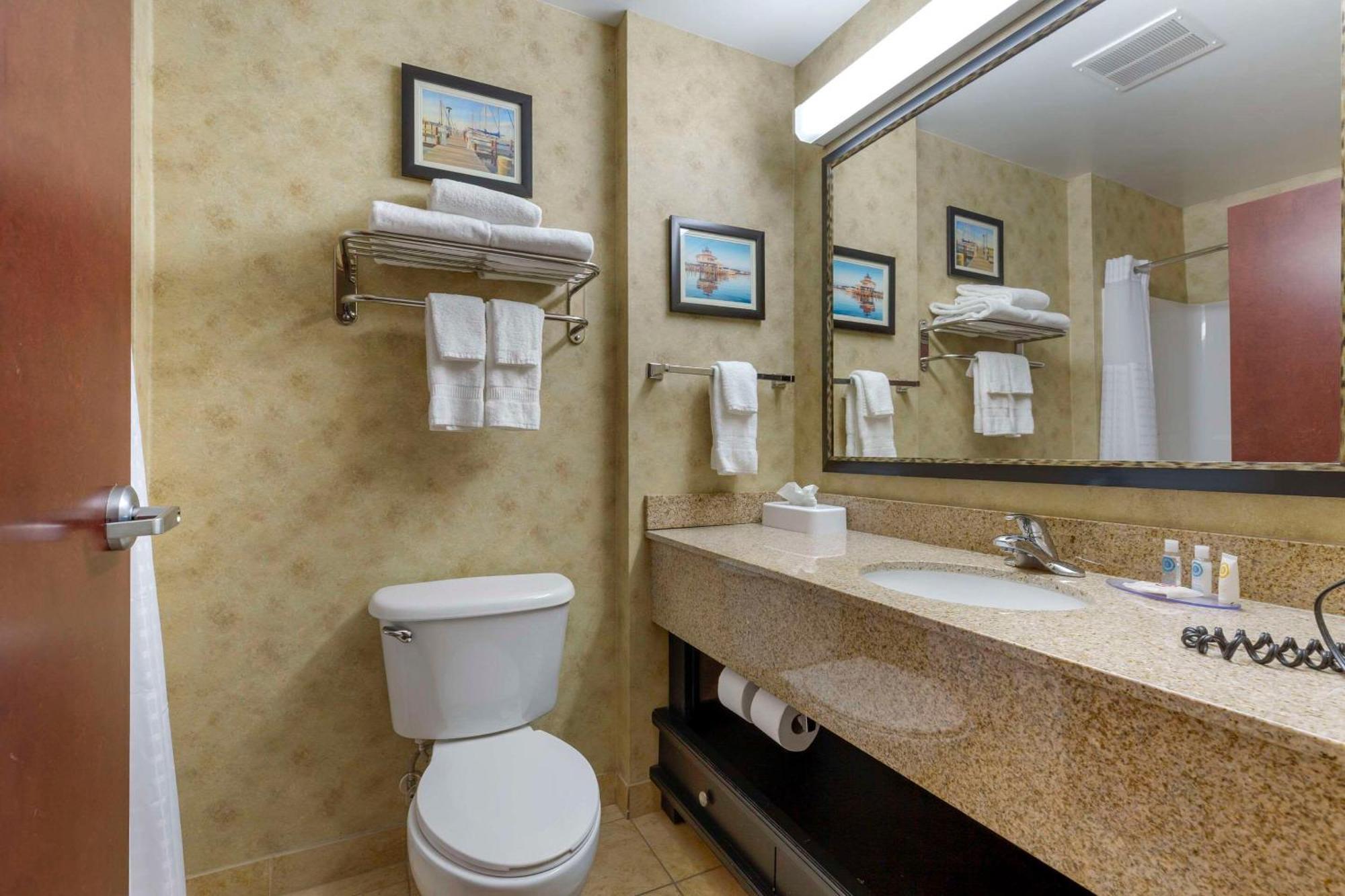 Comfort & Hotel